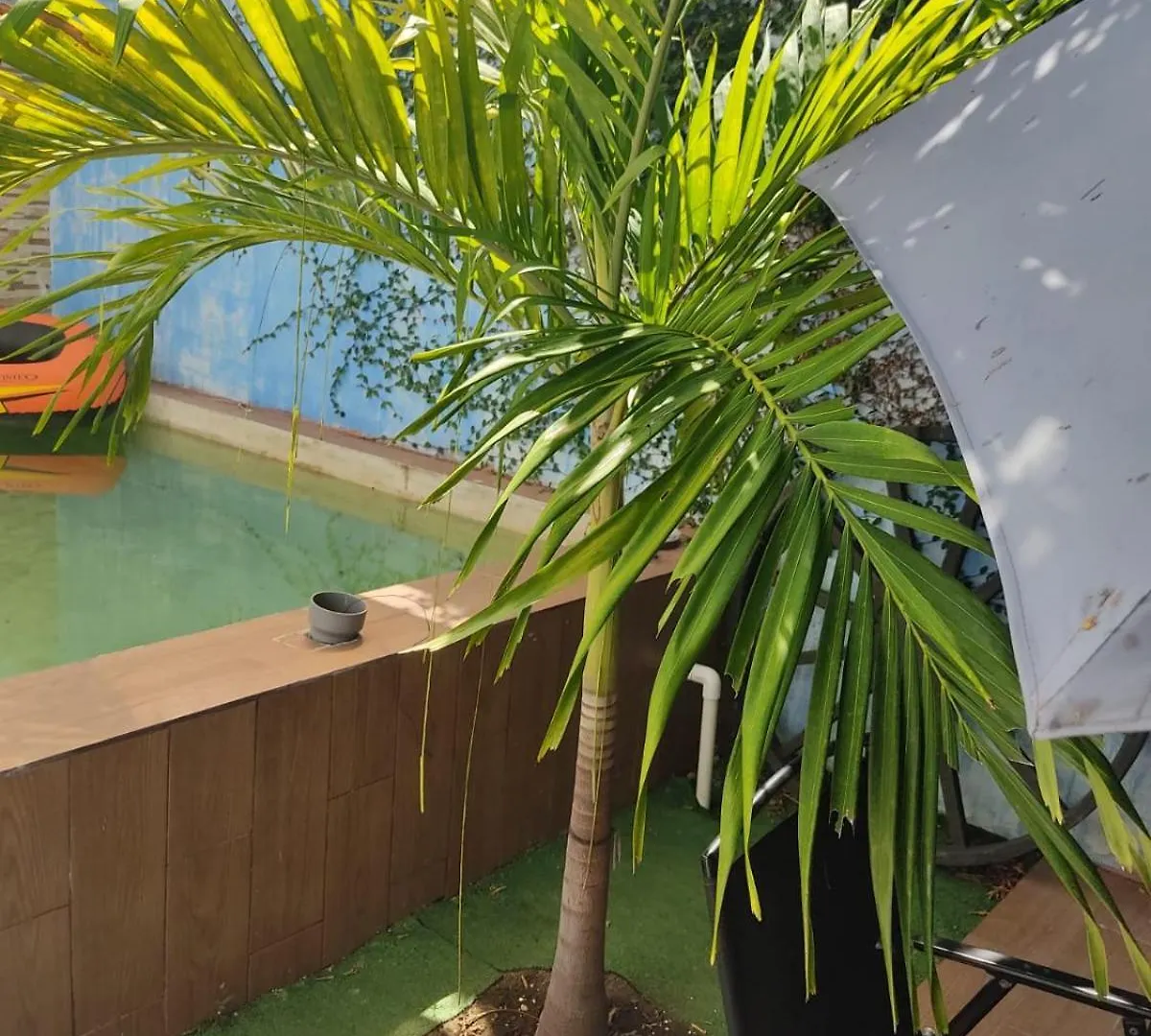 Casa Montiel Villa Merida
